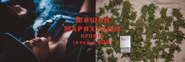 шишки Алзамай