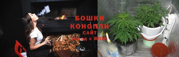 шишки Алзамай