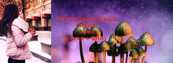 шишки Алзамай