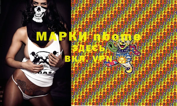 шишки Алзамай