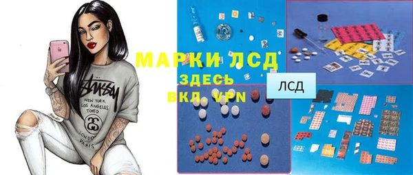 шишки Алзамай