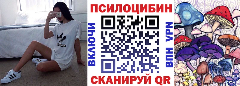 что такое Жуковка Галлюциногенные грибы Psilocybine cubensis